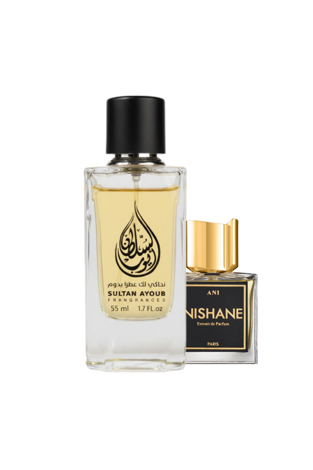 Ani Nishane نيشانى انى